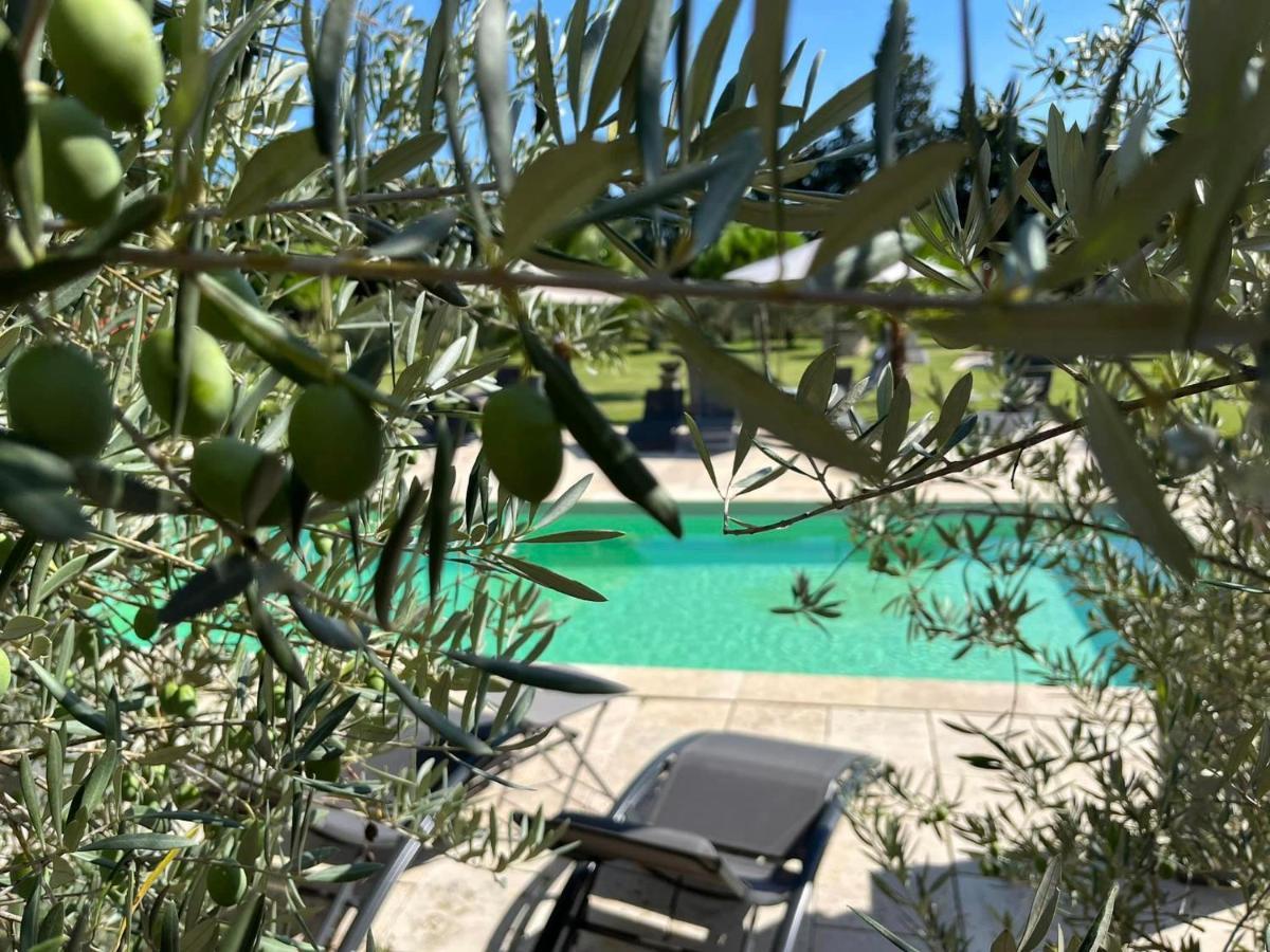 Mas De Nonin St Remy De Provence Guest house Noves
