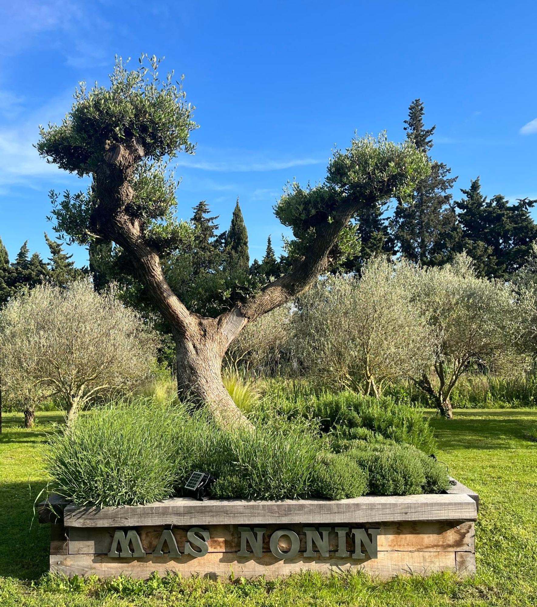 Mas De Nonin St Rémy De Provence Noves