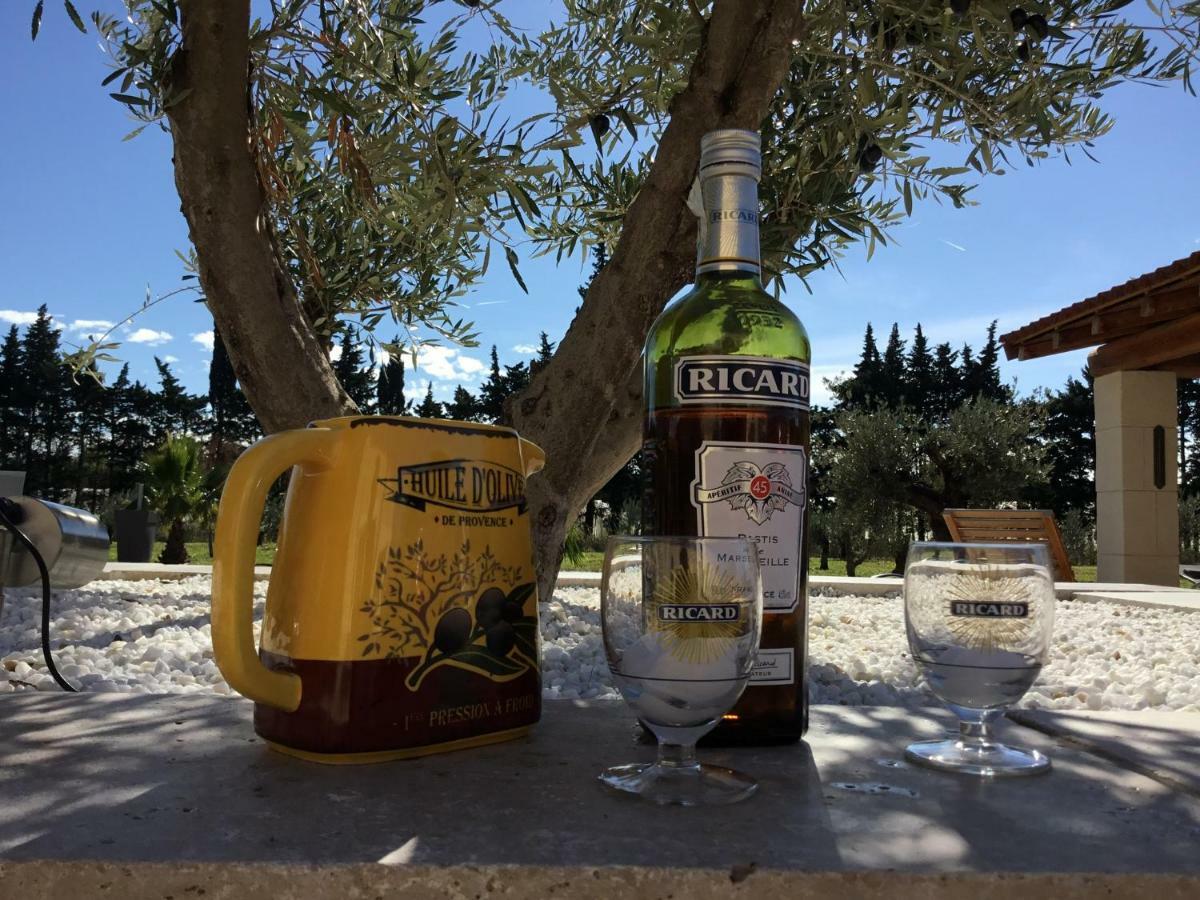 Mas De Nonin St Remy De Provence Guest house *