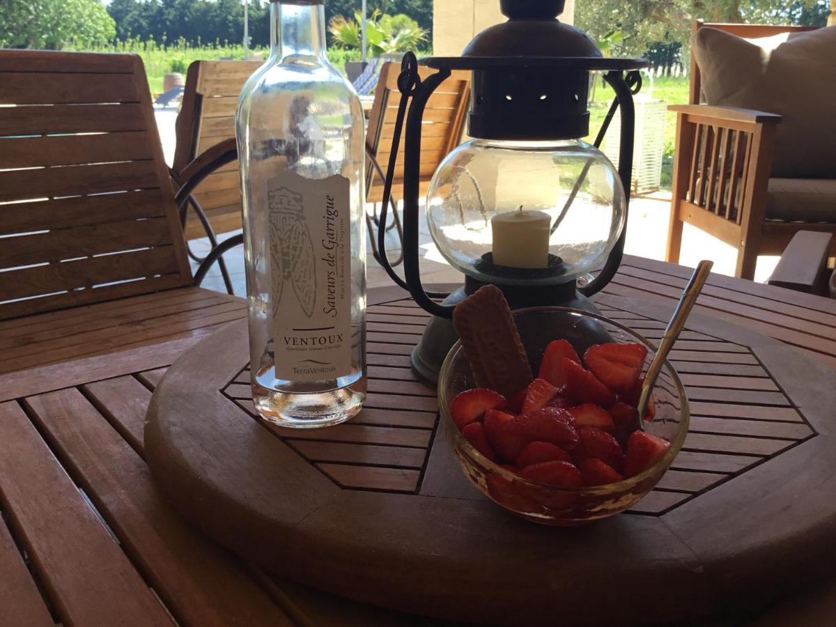 Mas De Nonin St Remy De Provence Guest house Noves